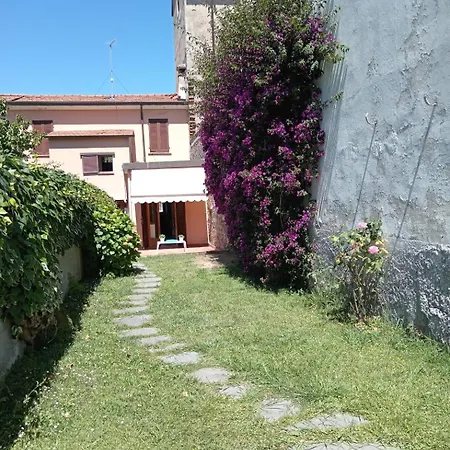 Rosa Carrara